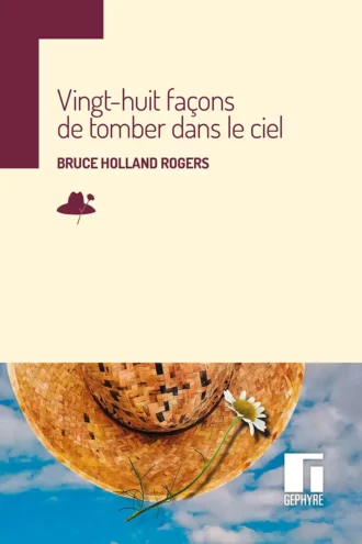 28 façons de tomber dans le ciel – Bruce Holland Rogers – couverture