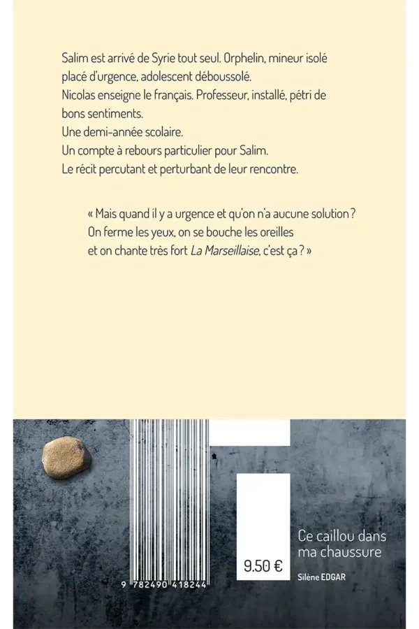 Ce caillou dans ma chaussure - Silène Edgar - 4e