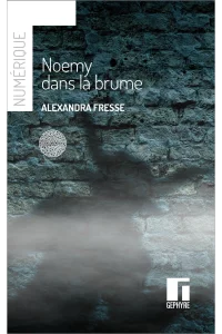 Noemy dans la brume - Alexandra Fresse - numérique