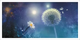 fleurissent-CP