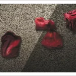 Carte postale Fragments