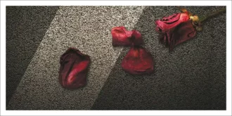 fragments-CP