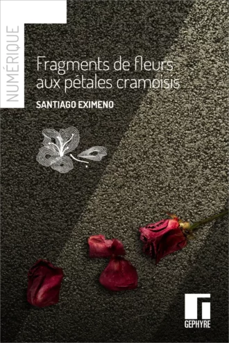 Fragments de fleurs aux pétales cramoisis – Santiago Eximeno – numérique