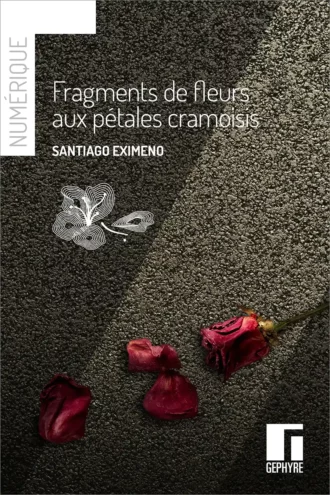 Fragments de fleurs aux pétales cramoisis – Santiago Eximeno – numérique