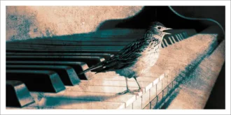 harmonie-CP