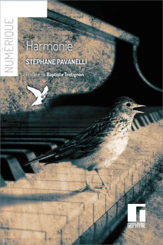 Harmonie - Stéphane Pavanelli - Numérique