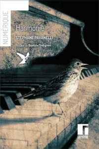 Harmonie - Stéphane Pavanelli - numérique
