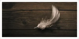 plumes-CP